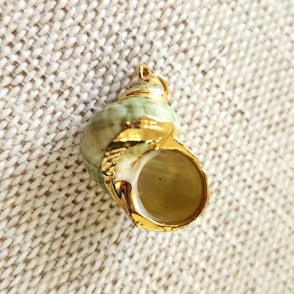 2/15$ Gold Trimmed Emerald Turbo Shell Pendant Accessory